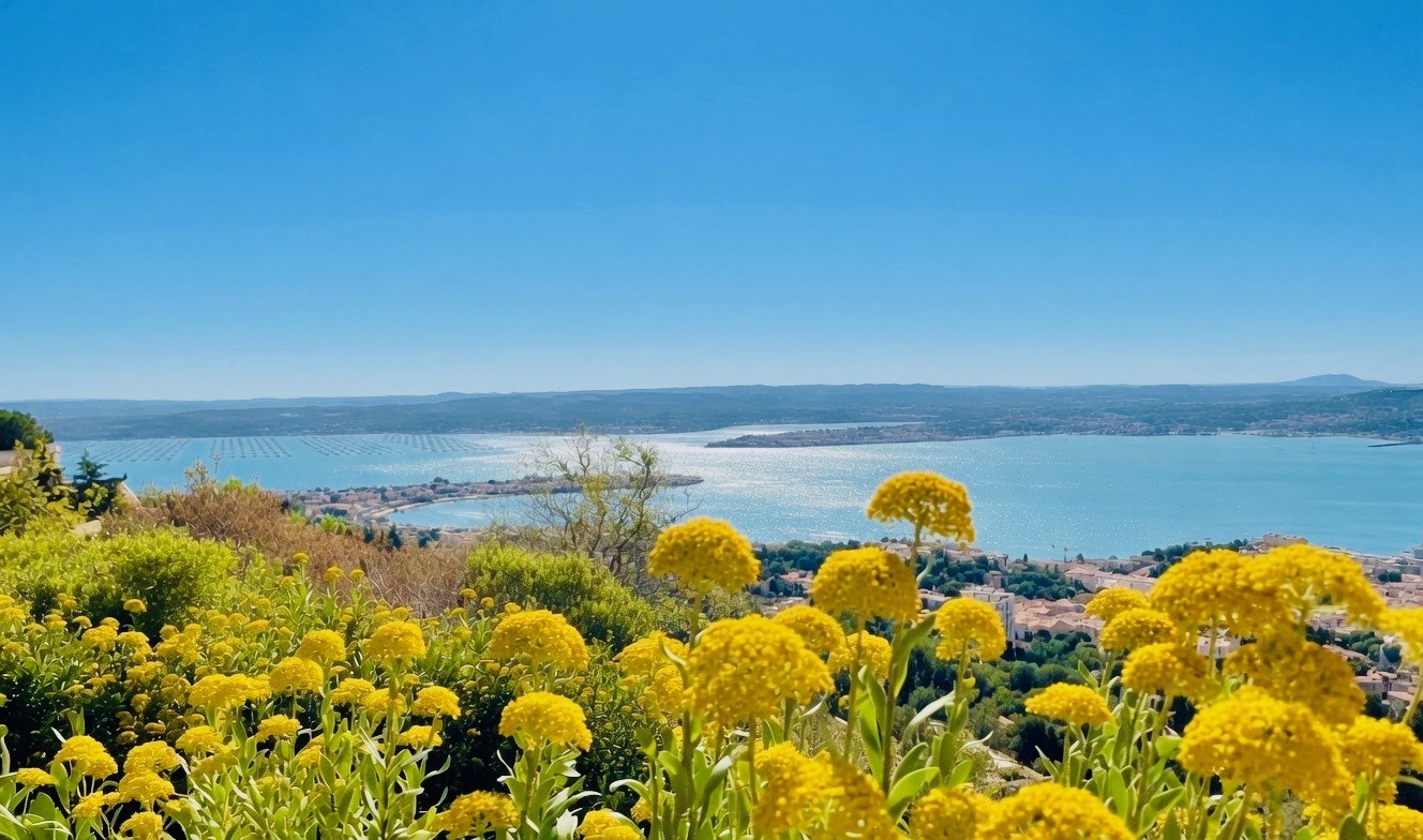 Lagune de Thau et Sète depuis la plage de Mèze