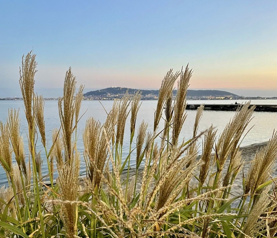 Aube sur Sète et la lagune de Thau, Hérault